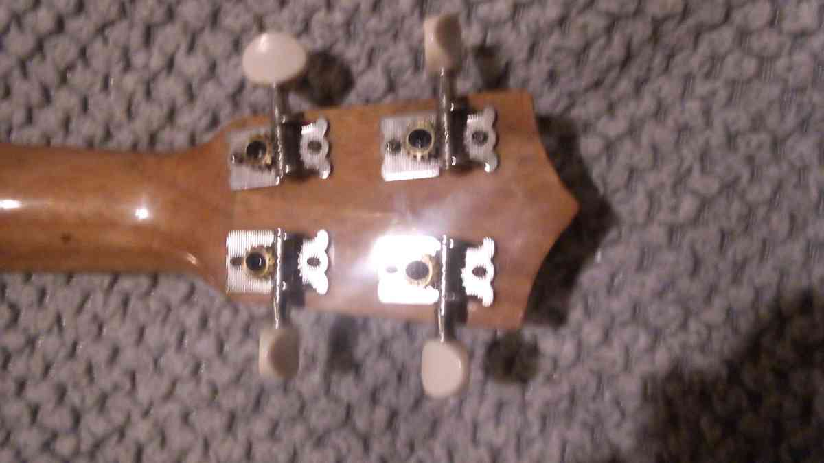 leolani ukulele zebrawood