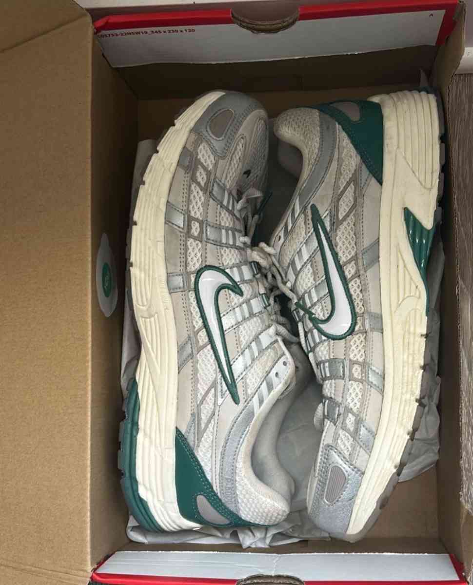 Nike P6000 Premium Shoes