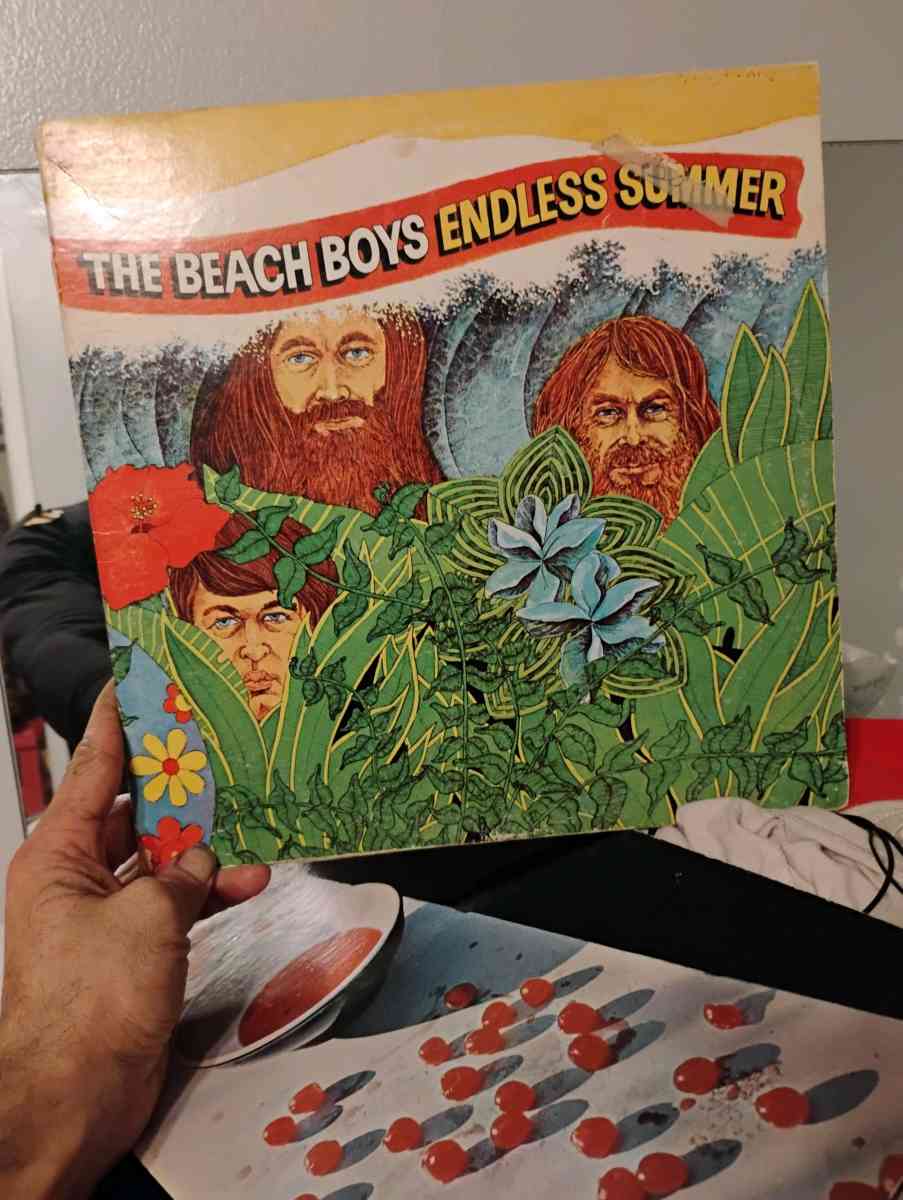 Old School record Beach boys endless Summer two record LP