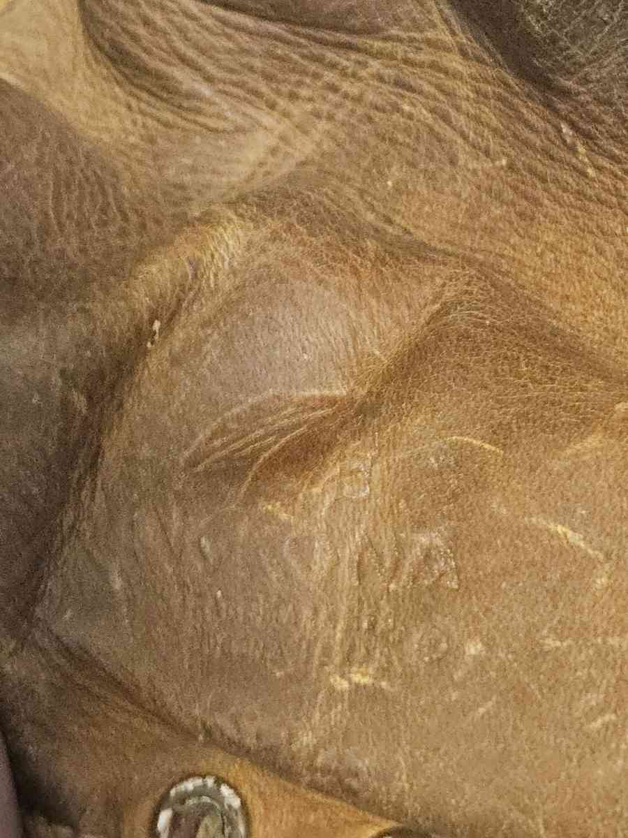 Vtg Nokona G24 RHT Baseball Glove