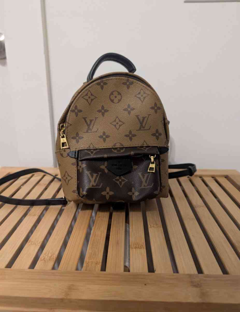 Louis Vuitton Palm springs bag