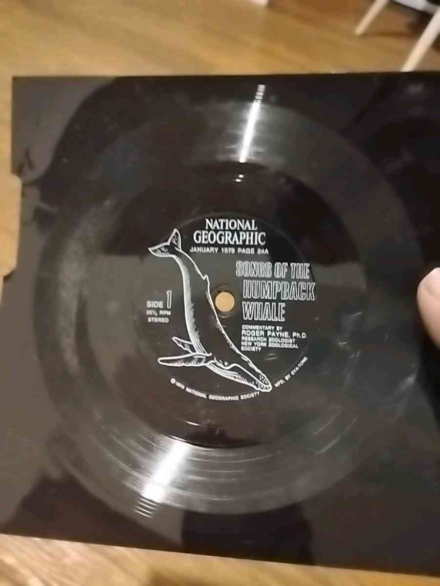 national geographic vintage  songs of the humpback whale