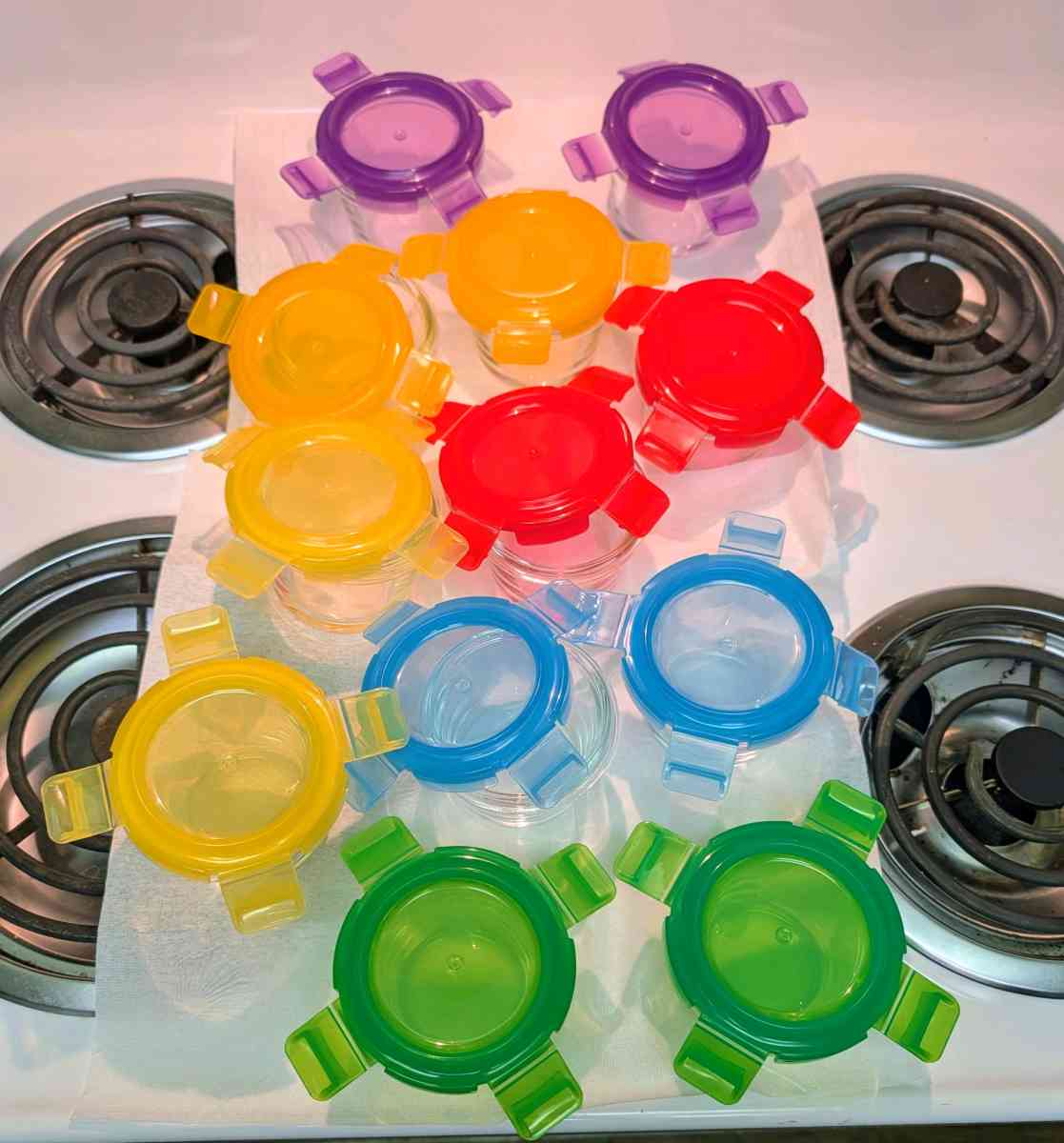 Nutrichef Glass Food Storage Containers