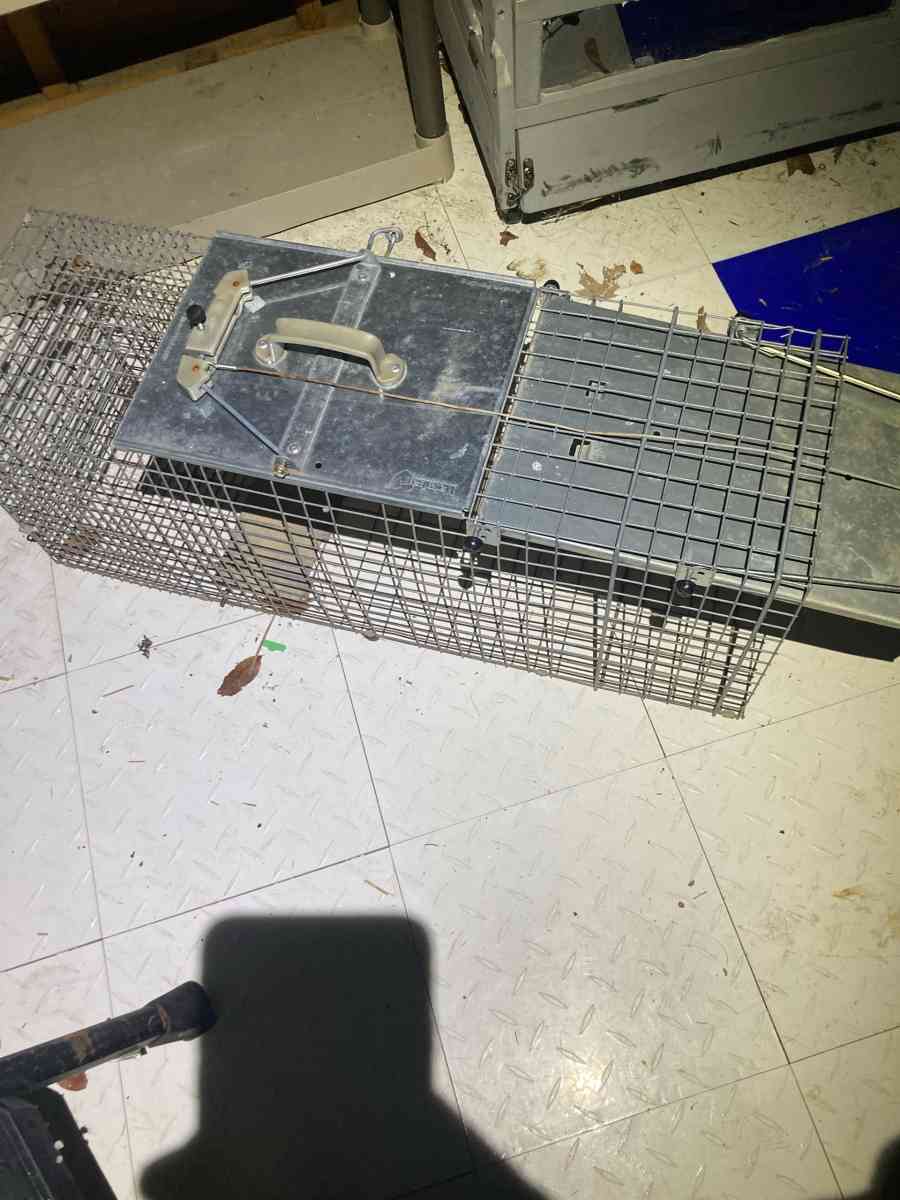 Metal Animal Trap Cage
