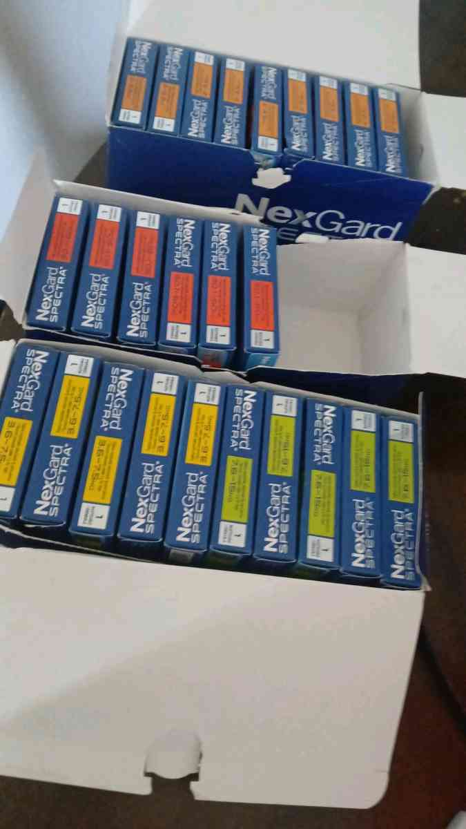 proteccin contra pulgas y garrapatas