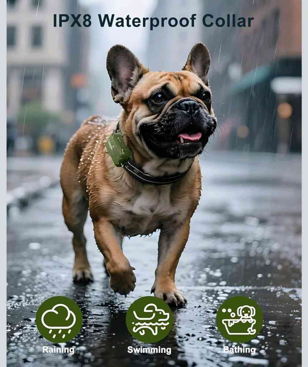 Collar de entrenamiento para perros