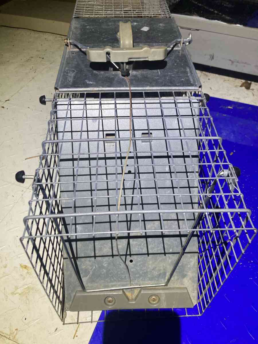 Metal Animal Trap Cage