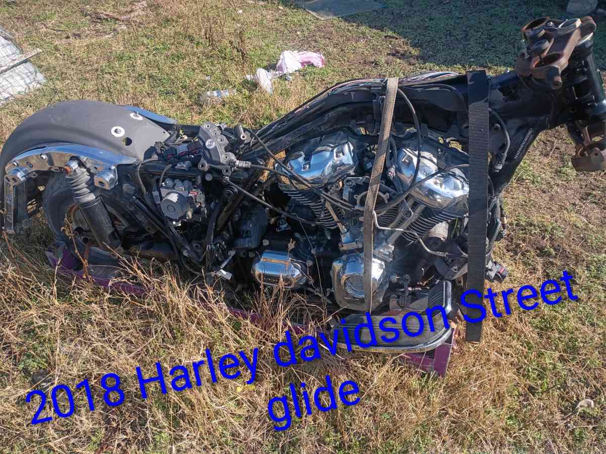 two different kinds of Harley davidsons