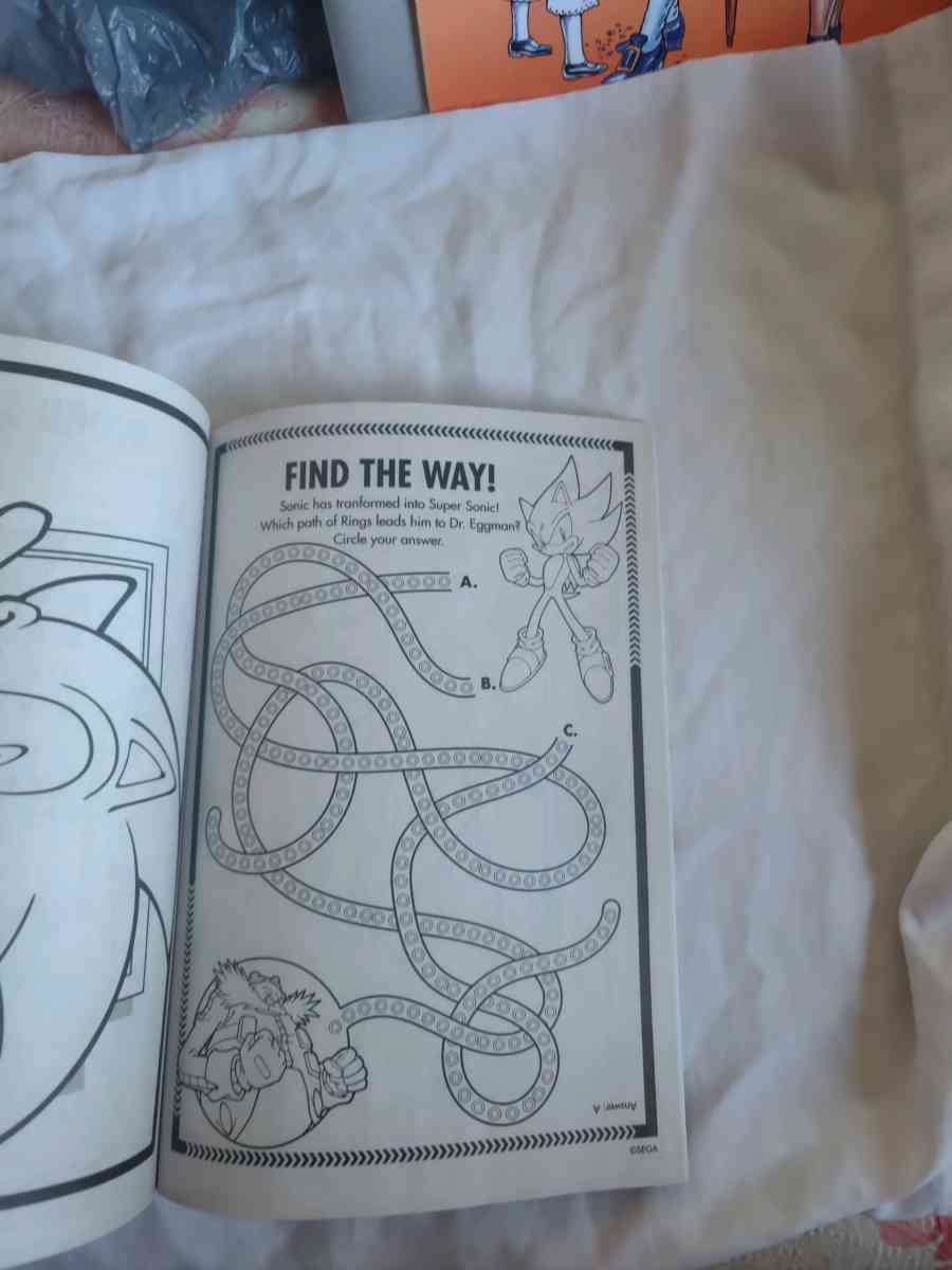 Sonic and Hedgehog activity and coloring book