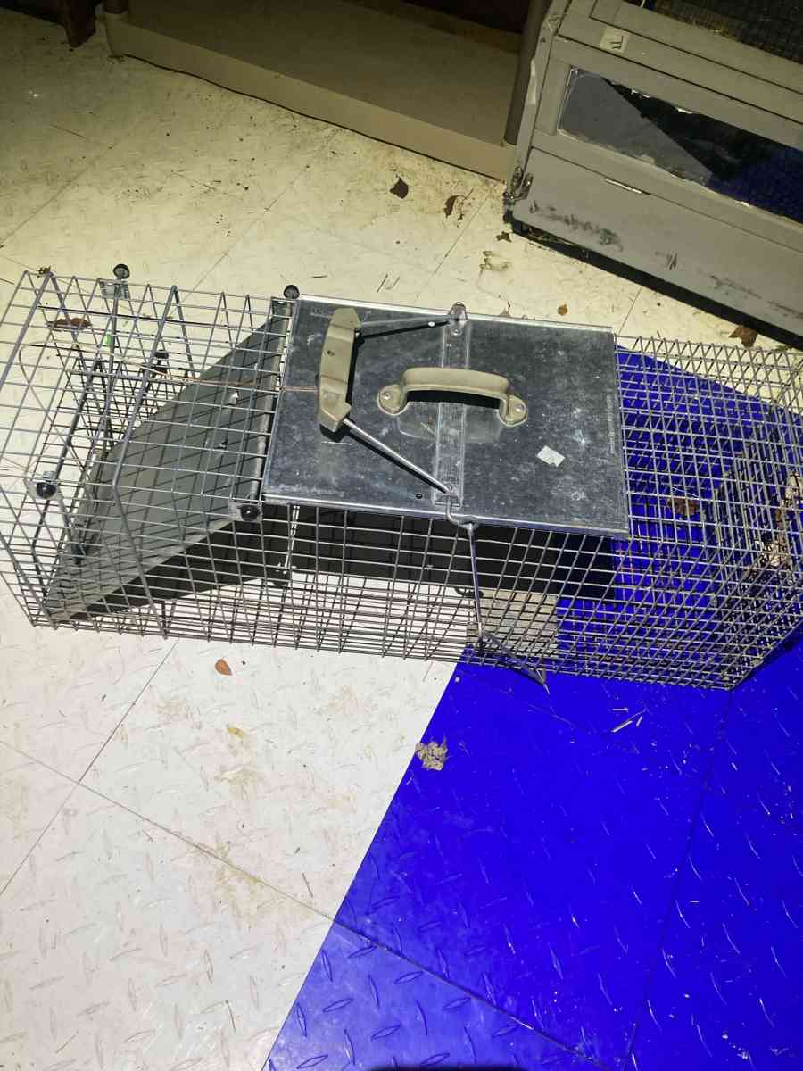 Metal Animal Trap Cage