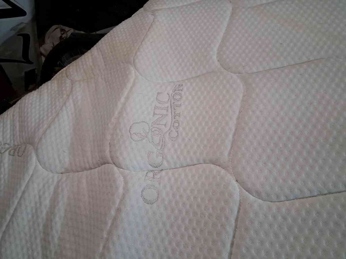 twin Day Bed and mattress