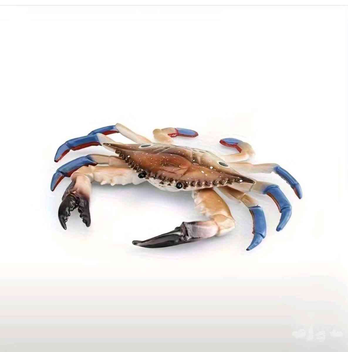 Hard Rubber Aquatic Life