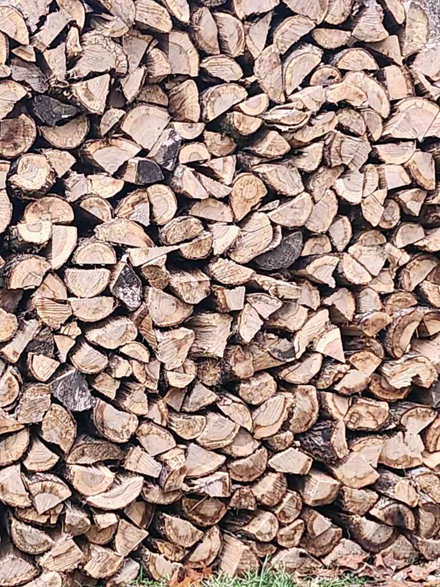 season firewood White Oak