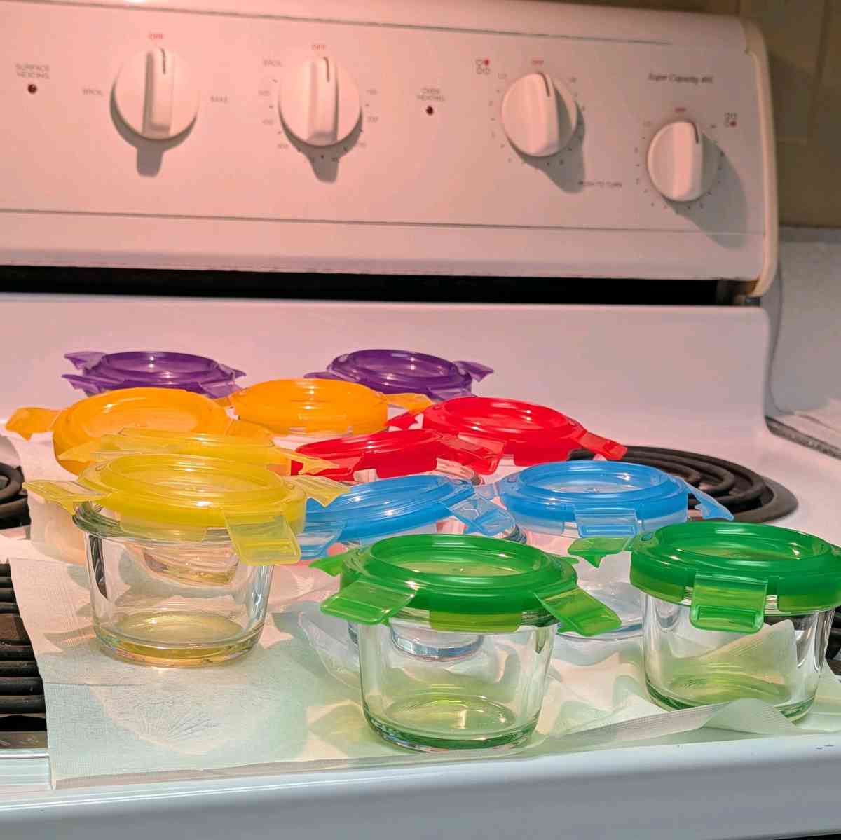 Nutrichef Glass Food Storage Containers