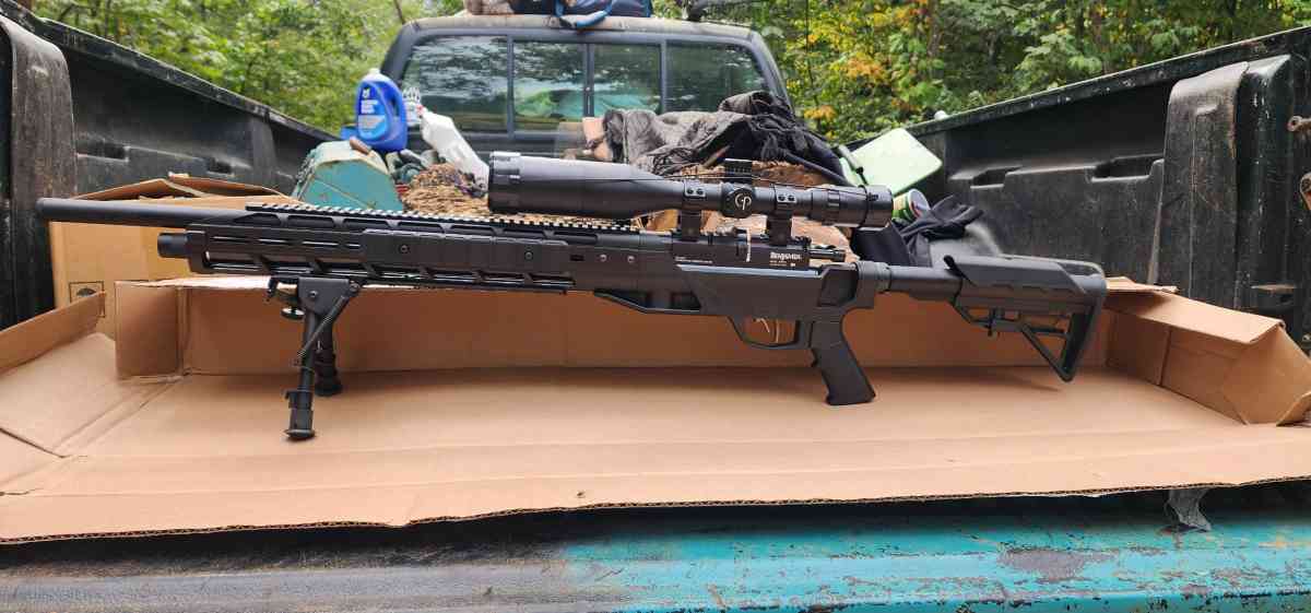 Benjamin armada btap 22sx