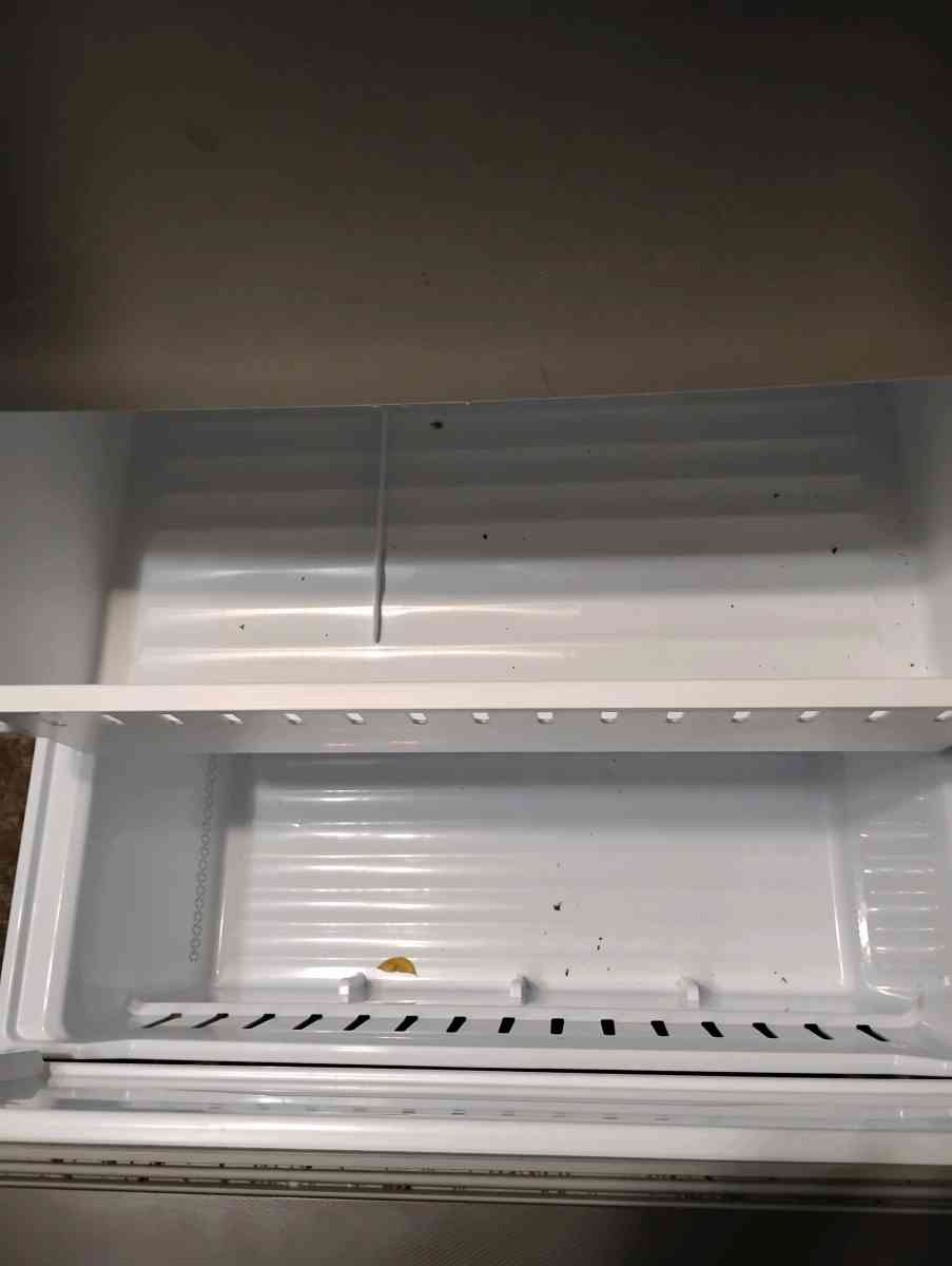 2025 Hisense Mora bottom freezer refrigerator