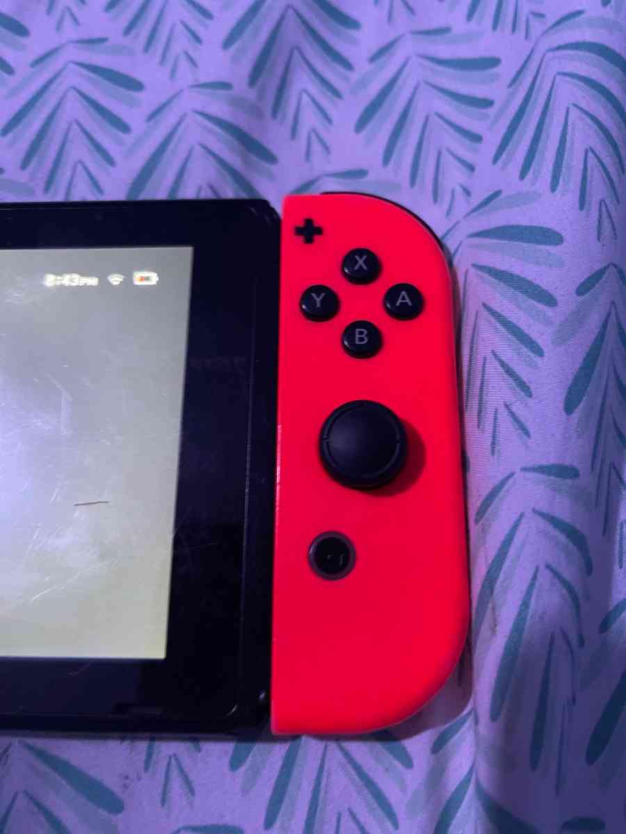 Nintendo switch