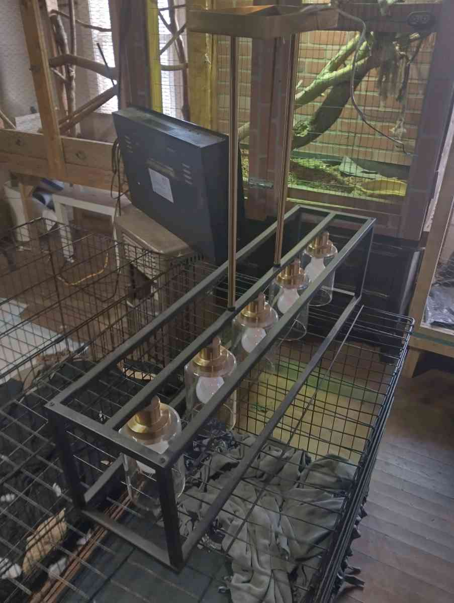 hanging light fixture