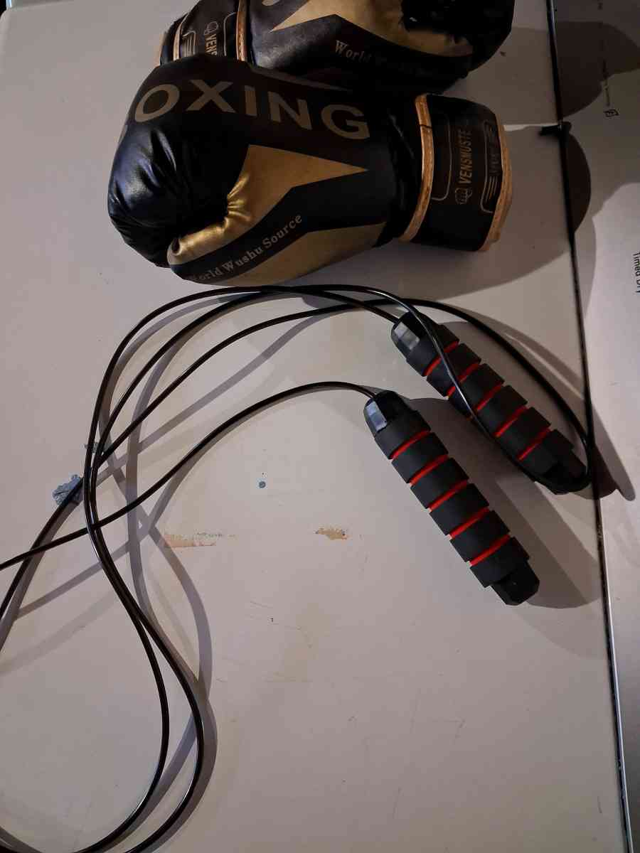 boxing bag and gloves