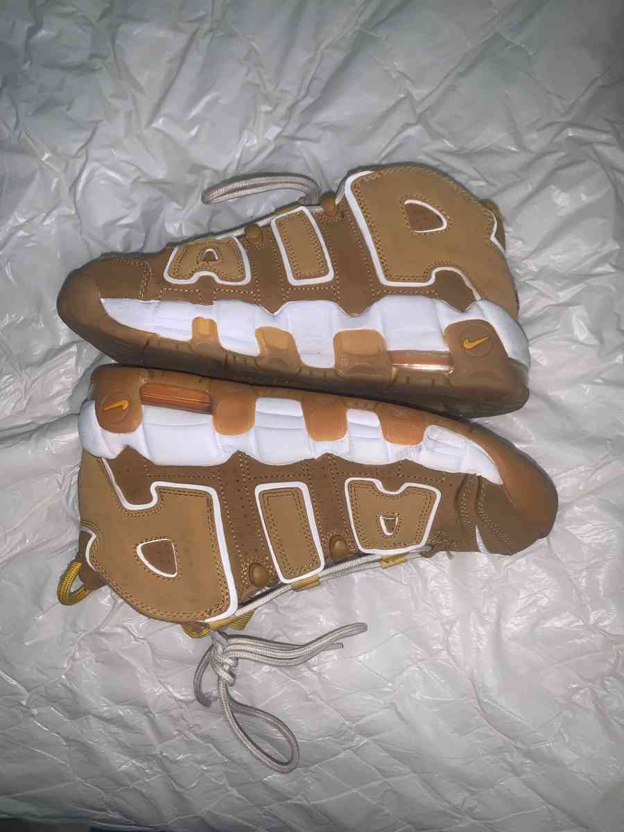 Nike air max brown
