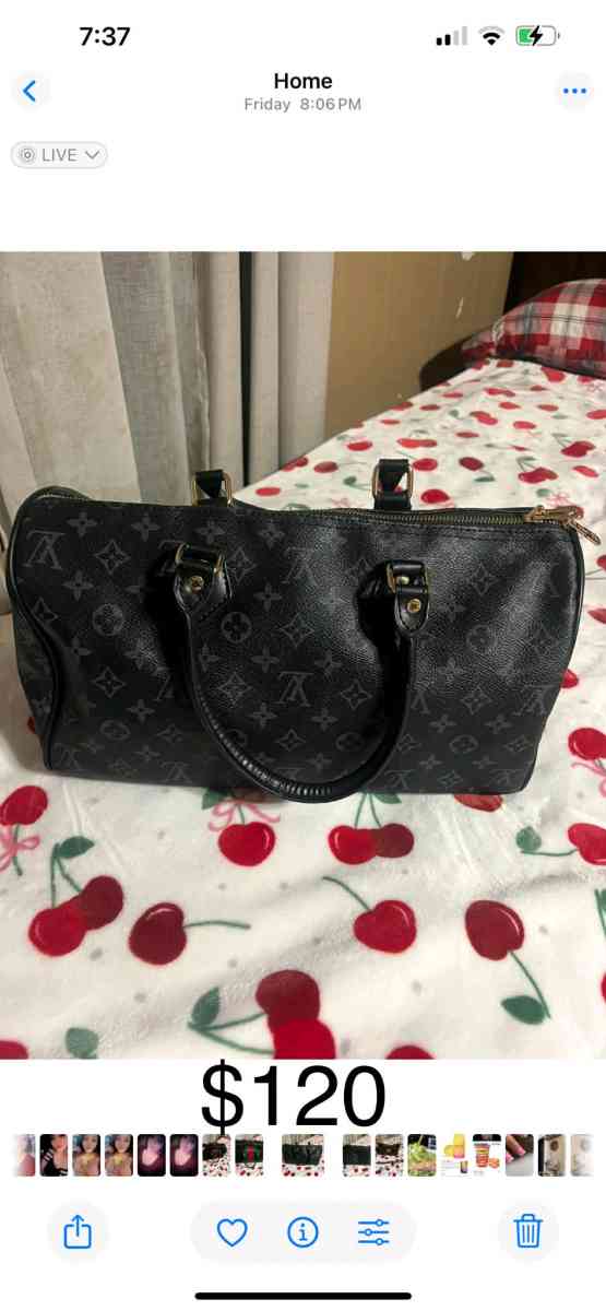 Louie Vuitton purse