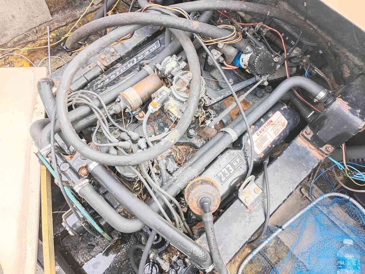 233 Mer cruiser with a 351w block 79model tbygvvggggg1t